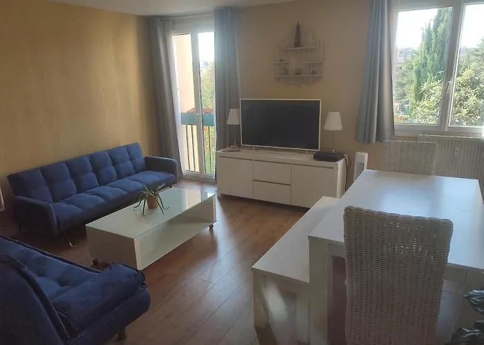 Grand Appartement De Charme Calme Et Lumineux Parking Compris