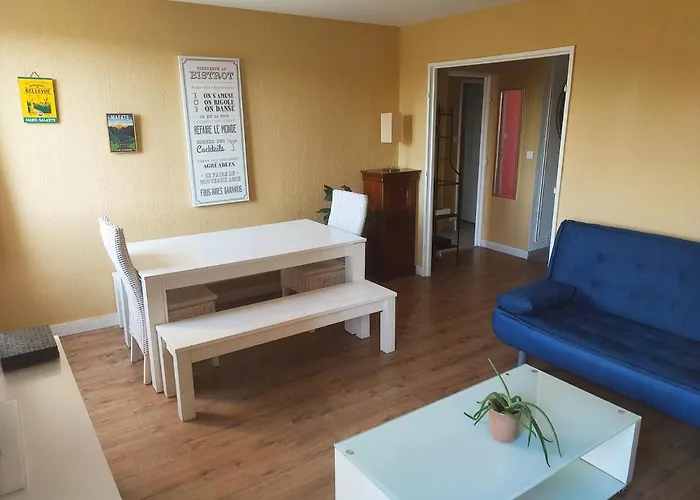 Grand Appartement De Charme Calme Et Lumineux Parking Compris